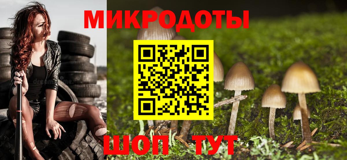 Зима  Псилоцибиновые грибы Psilocybine cubensis  Вход с VPN 