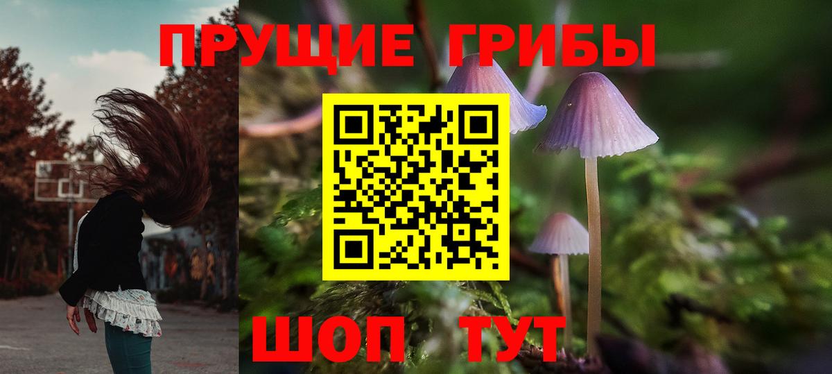 Галлюциногенные грибы мухоморы Зима